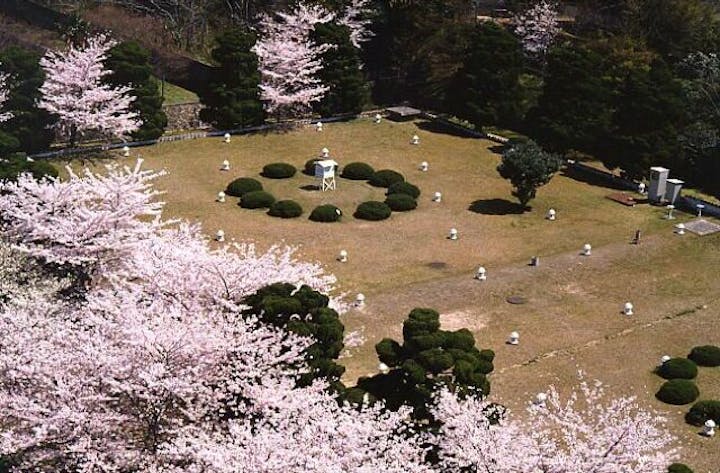 満池谷周辺の桜