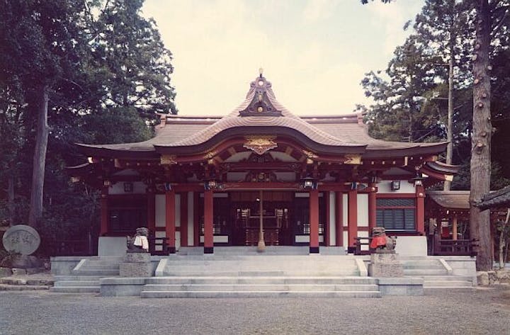 越木岩神社のヒメユズリハ群落