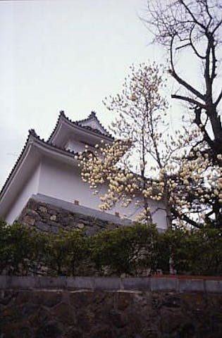 教行寺