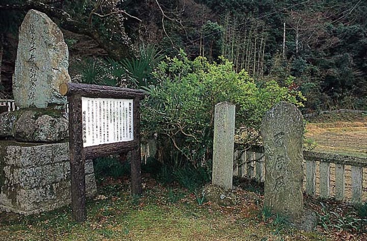 磐座神社のコヤスノキ叢林