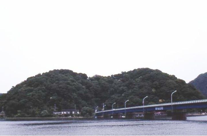 絹巻神社の暖地性原生林