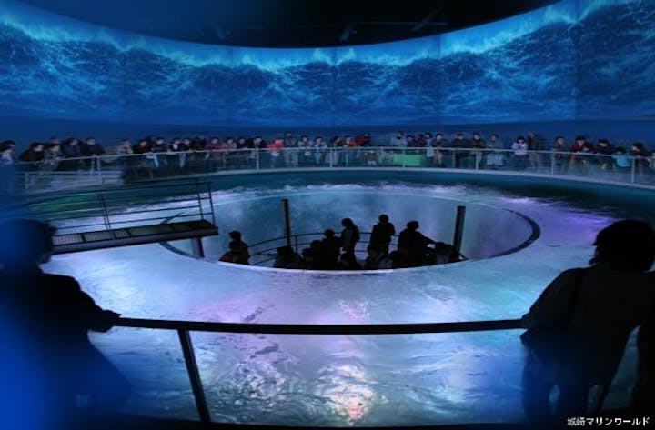 城崎マリンワールド アソビュー