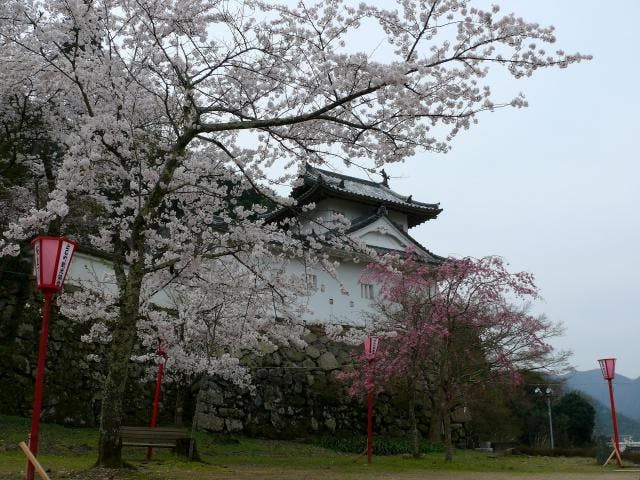 出石桜まつり