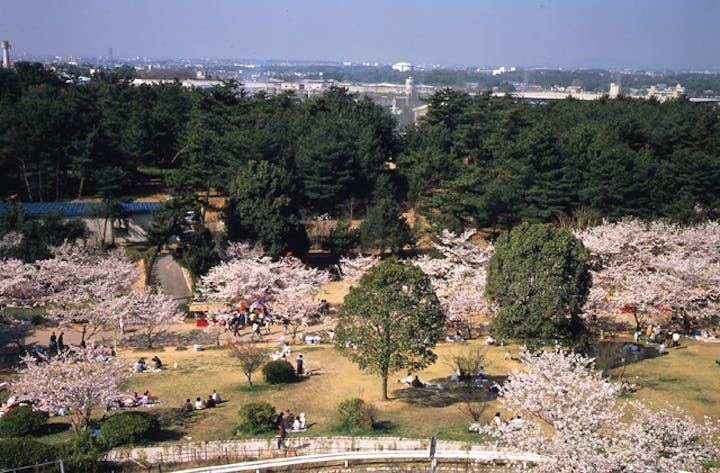 日岡山公園