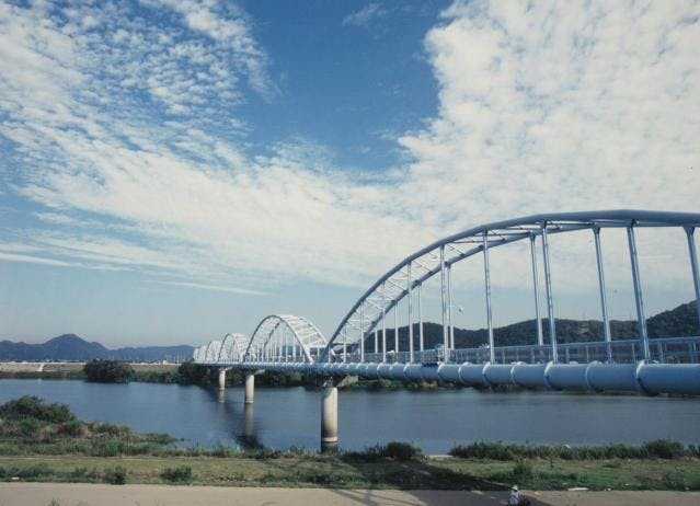 スポットの写真