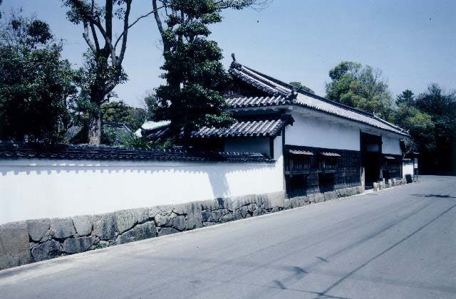 スポットの写真