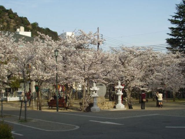 鹿島扇平自然公園の桜