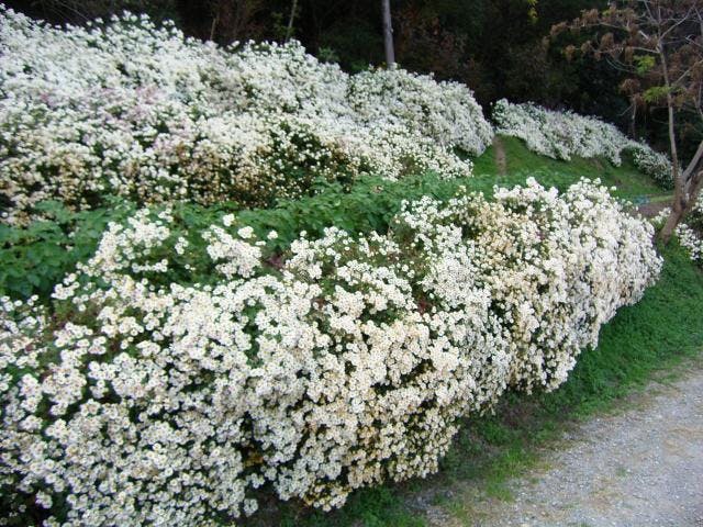 日笠山〜牛谷ハイキングコース