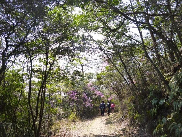 鴨池一周ハイキングコース