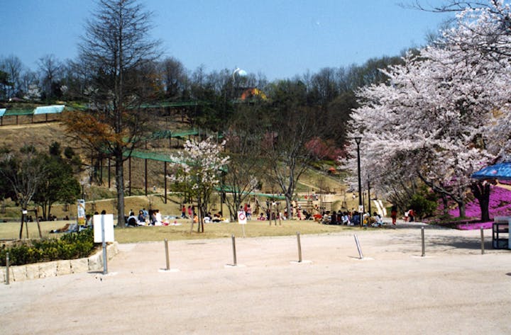 丸山総合公園