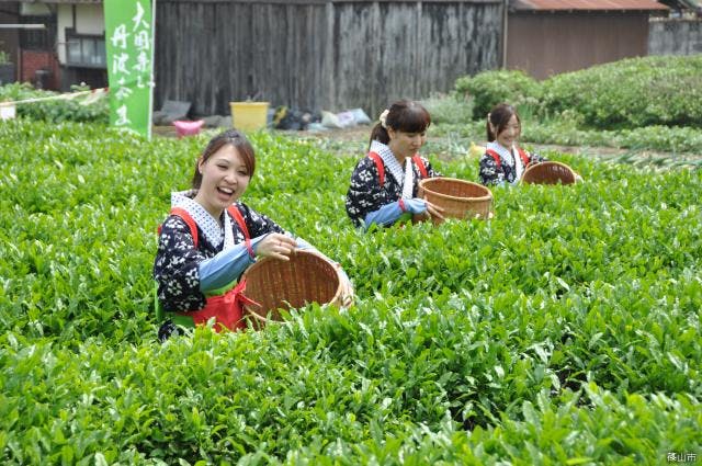スポットの写真