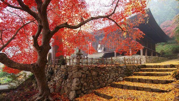 大国寺紅葉まつり