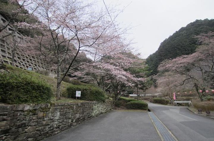 【2021年中止】鐘ヶ坂公園　さくらまつり