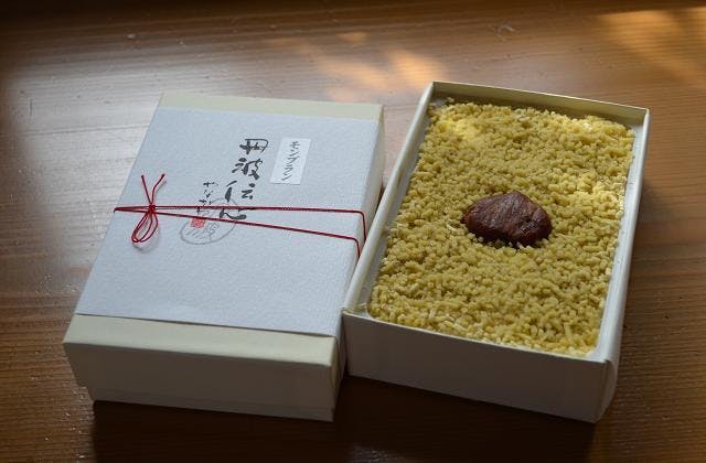 スポットの写真