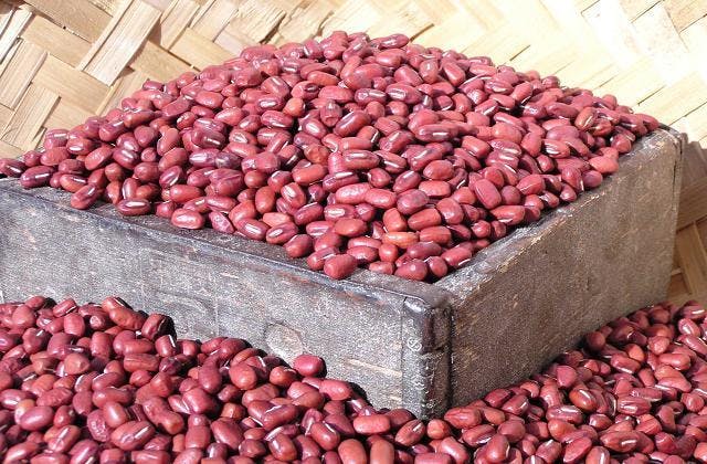 スポットの写真