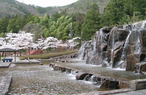 丹波市立薬草薬樹公園 アソビュー