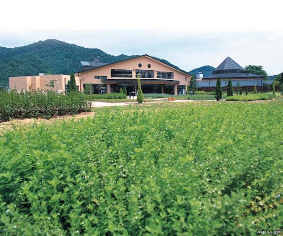 丹波市立薬草薬樹公園