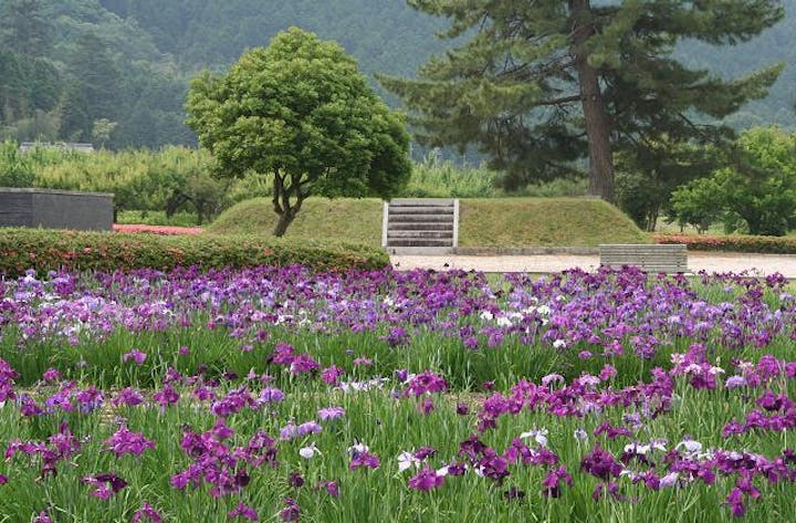 三ツ塚史跡公園