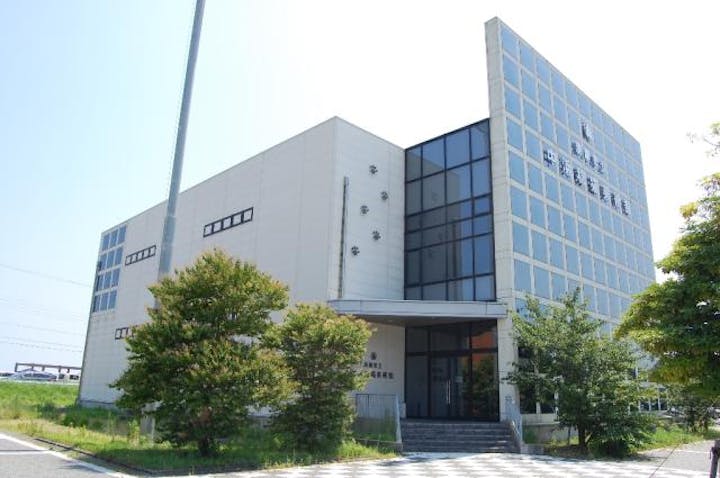 淡路市立中浜稔猫美術館