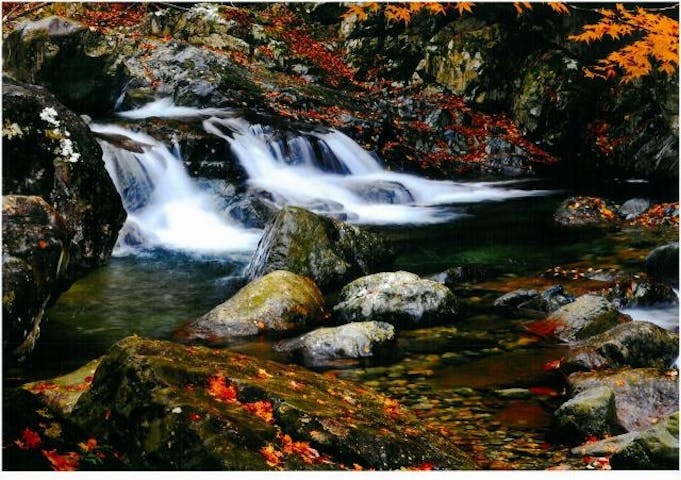 福知渓谷の紅葉