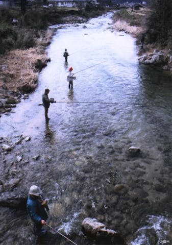千種川のあゆ釣り