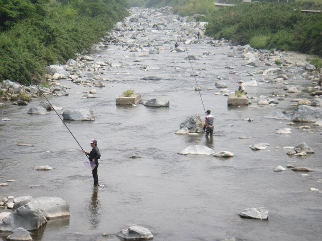 揖保川あゆ釣り
