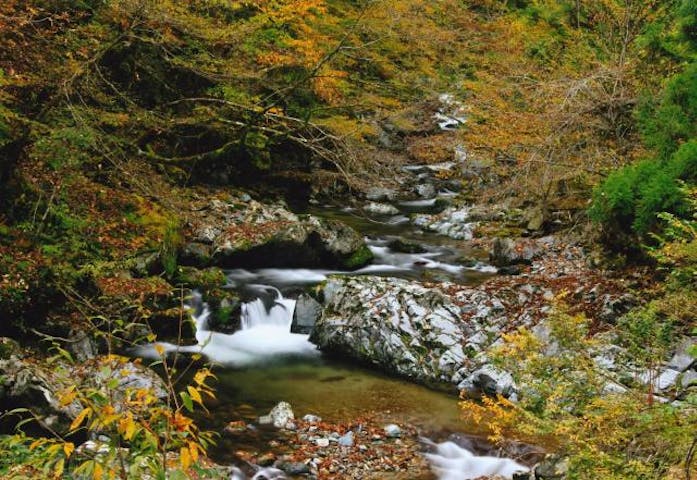 音水渓谷の紅葉