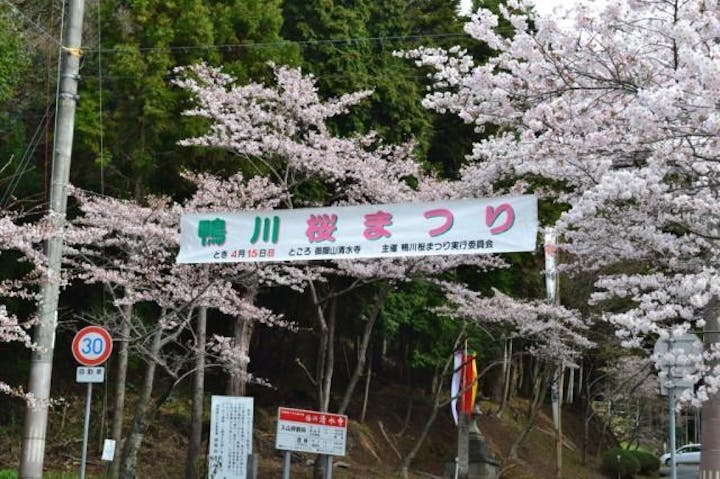 【2020年中止】鴨川桜まつり