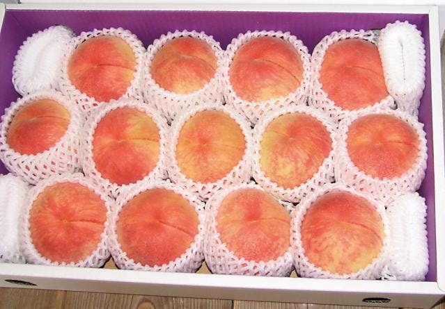 スポットの写真