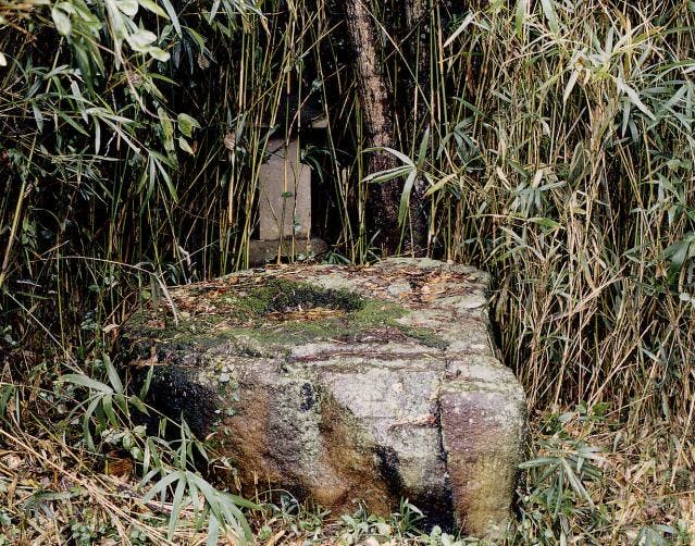 スポットの写真