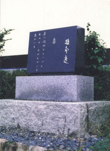 スポットの写真