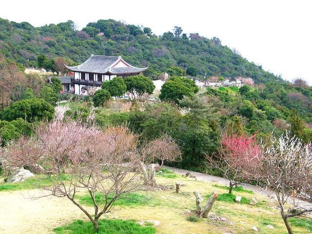 御津自然観察公園