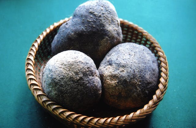 スポットの写真