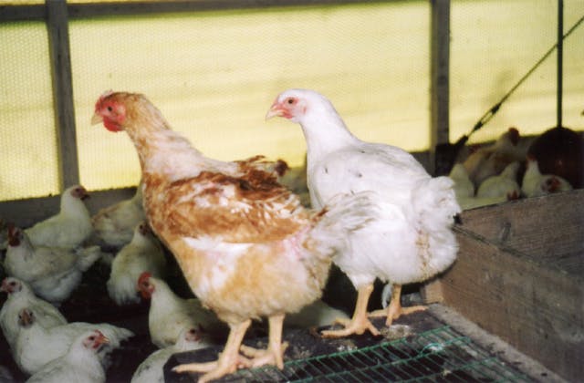 スポットの写真