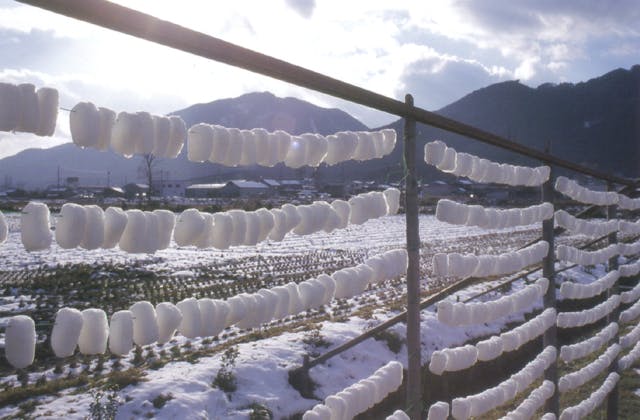 スポットの写真