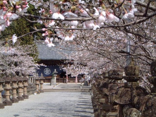 大歳金刀比羅神社