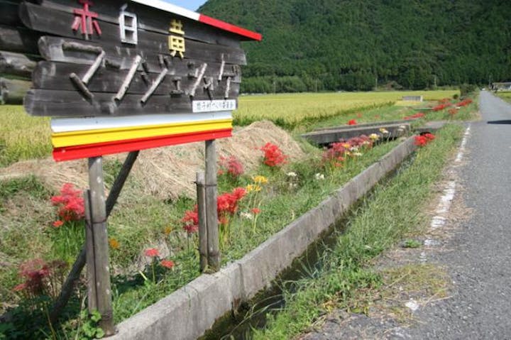 間子の曼珠沙華（彼岸花）