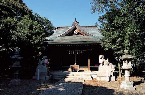 スポットの写真