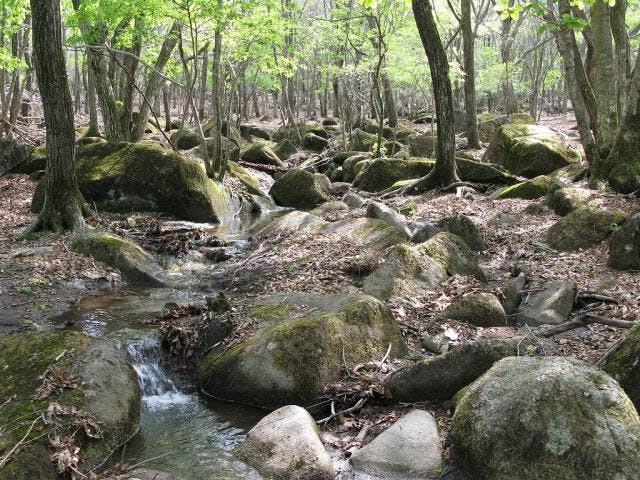 峰山高原岩塊流