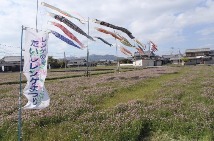 阿曽レンゲまつり