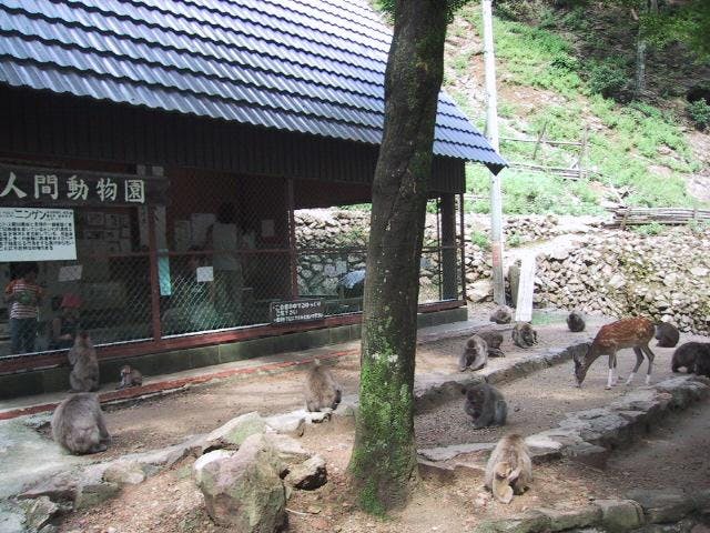 船越山モンキーパーク