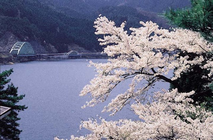 音水湖(引原ダム）