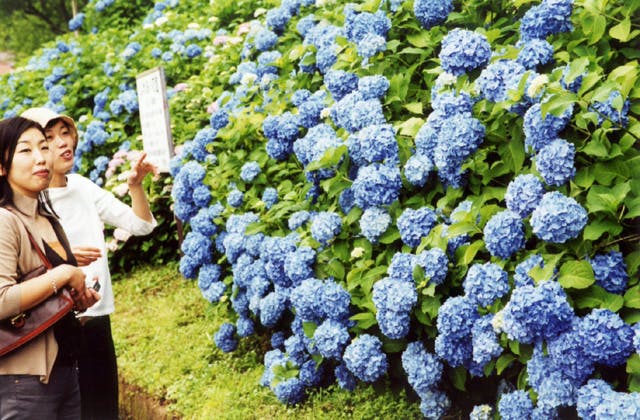 スポットの写真