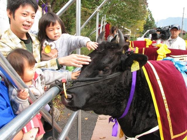 香美町山の祭典「但馬牛食まつり」