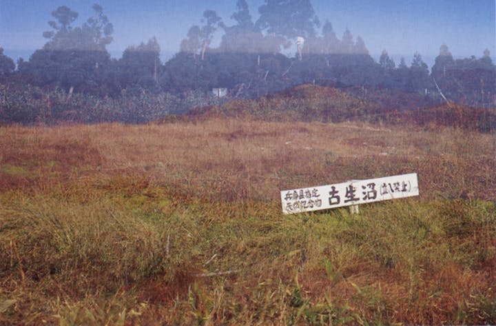 古生沼の高地湿原植物群落