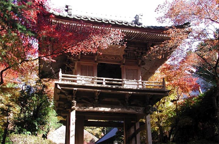岩瀧寺の紅葉