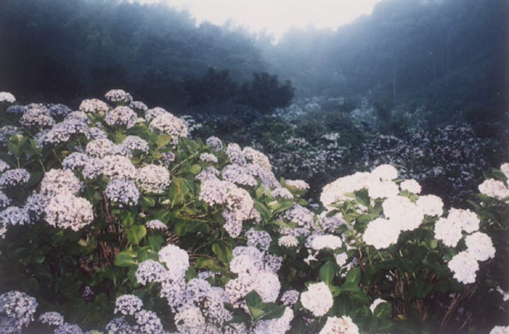 あわじ花の歳時記園