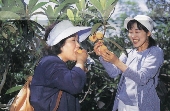 大石観光びわ園