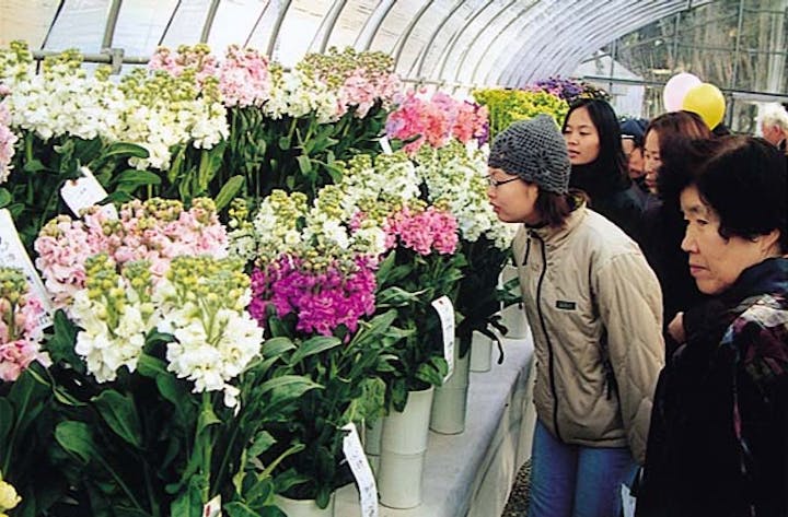 淡路農林水産祭