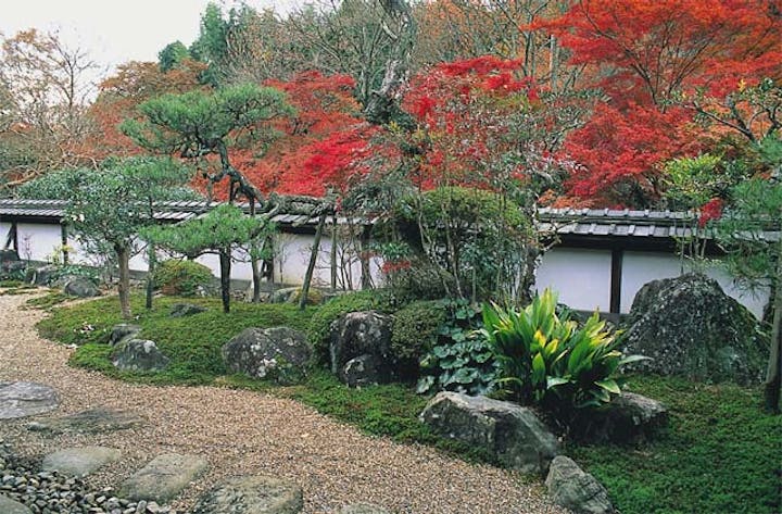 正暦寺のモミジ